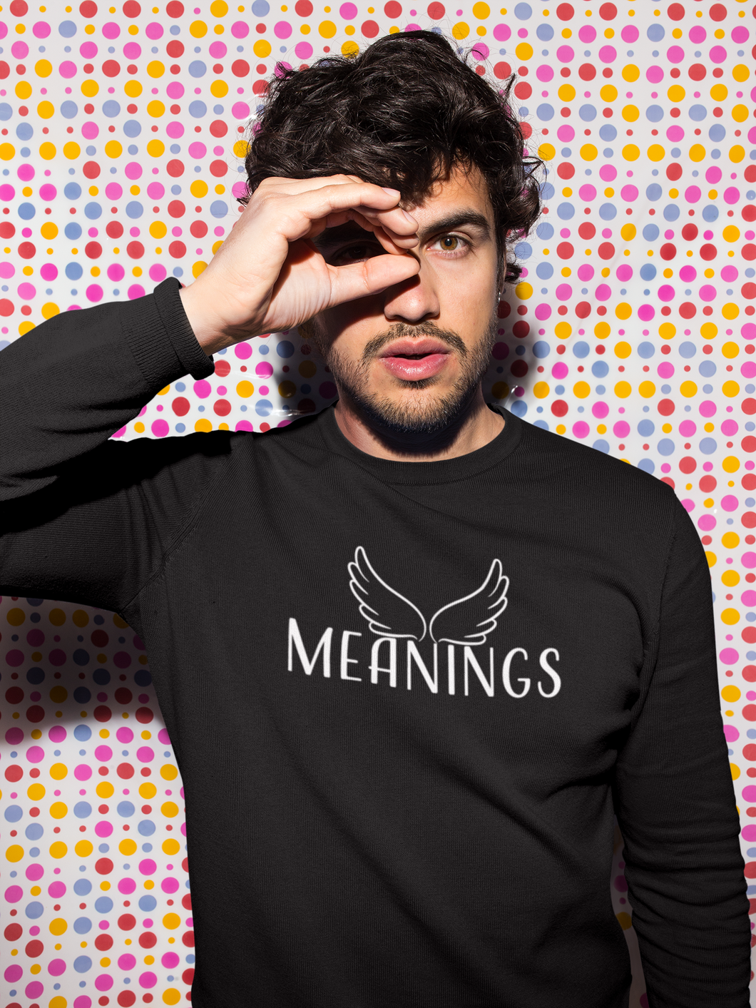 Meanings Men's Sweatshirt (Embroidery Design)